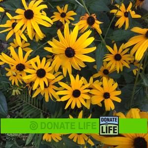 Meet your Posher, Lavonne